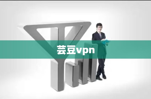 芸豆vpn