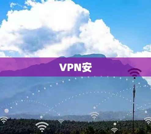 VPN安